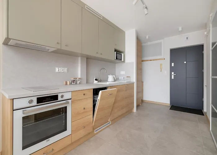 Apartament W Centrum Katowic Z Klimatyzacja By Noclegi Renters